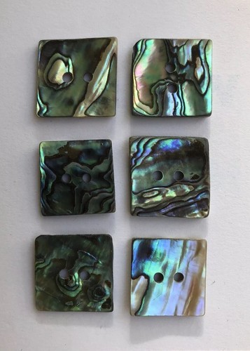 Mexican abalone shell - shell, buttons