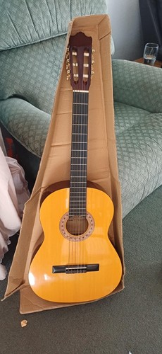 Encore guitar model mg957 - mg957, 39.5
