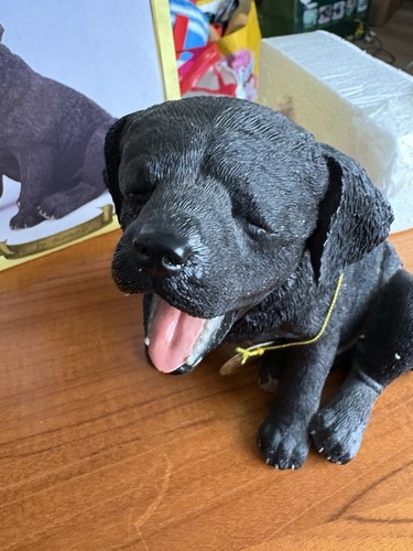 Leonardo black labrador dog - black,