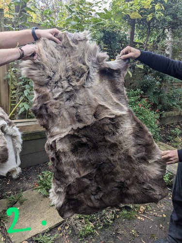 Norwegian reindeer pelt - norwegian,