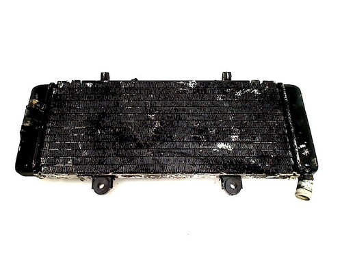 Radiator honda cbr 600 - radiator,