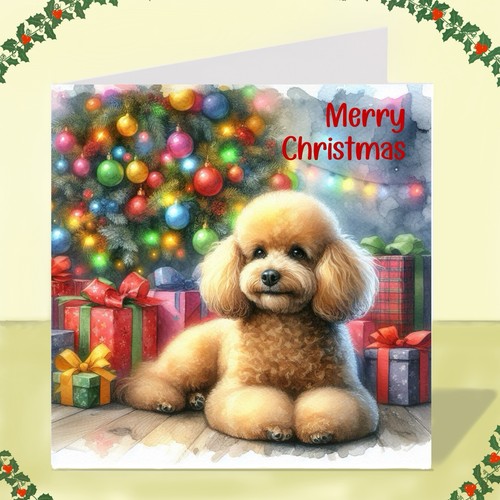 Miniature poodle dog - miniature,