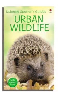 Urban wildlife usborne - urban, (usborne