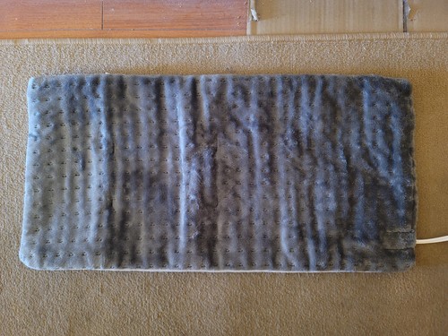 New soft grey velour - velour, pet