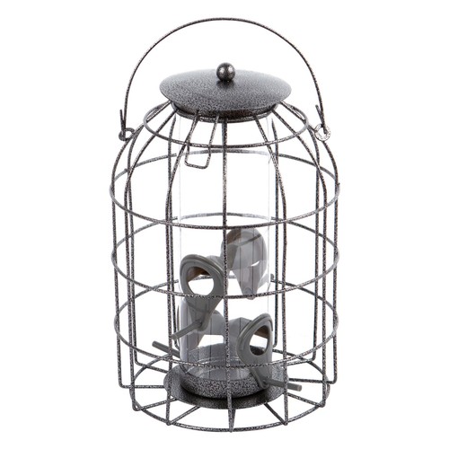 Squirrel proof metal - squirrel-proof,