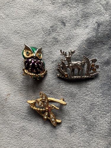 Vintage lot bird animal - vintage, insect