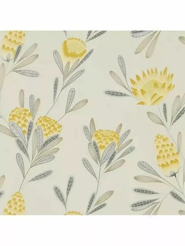 Harlequin cayo wallpaper - harlequin,