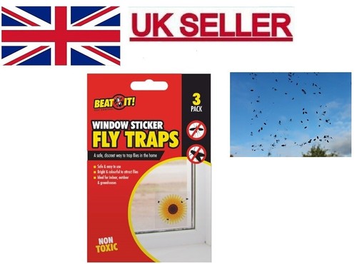 Fly traps killer - x,