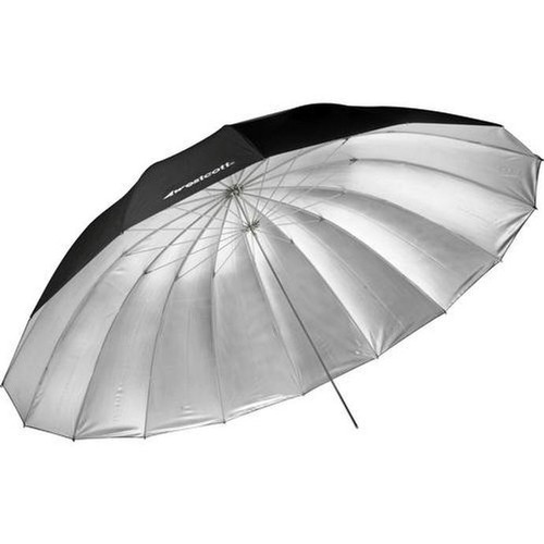 Westcott feet silver - westcott,