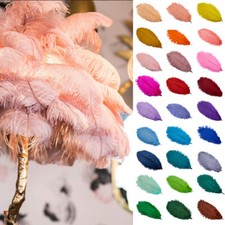 Large Natural Ostrich Feathers For DIY Wedding Party Costume Decoration 20-25cm