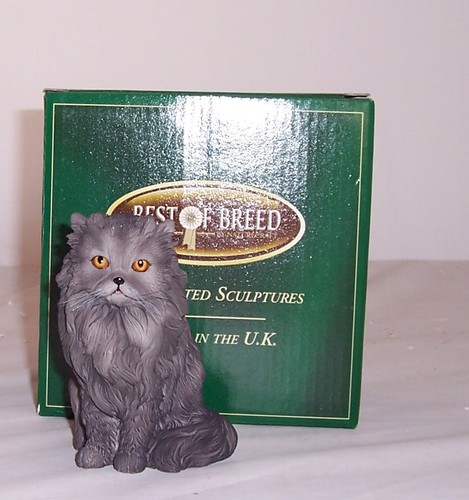 Best breed persian - breed,