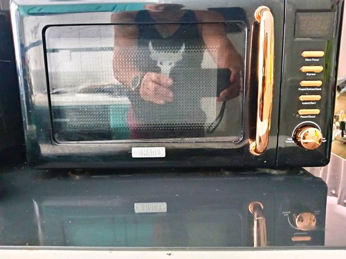 Haden salcombe 20l microwave - salcombe,