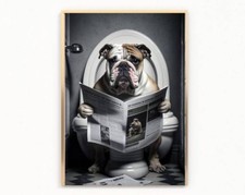 bathroom english bulldog on