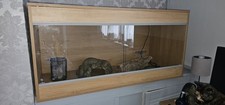 Vivarium Starter Tank Reptile