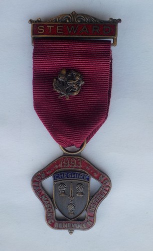 1993 enamel jewel - jewel, royal