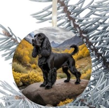 Cocker Spaniel Dog Hanging