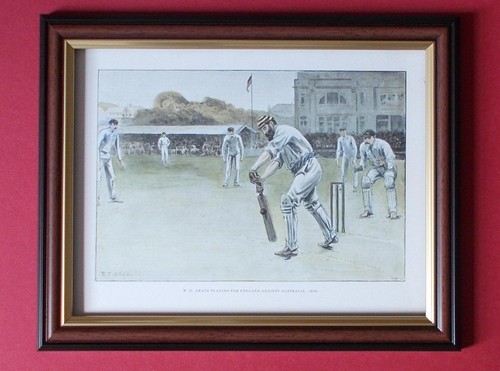 Cricket print grace - print,