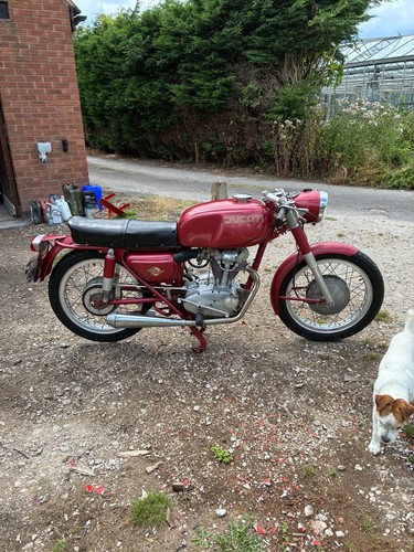 Ducati daytona 250 - daytona, 250,