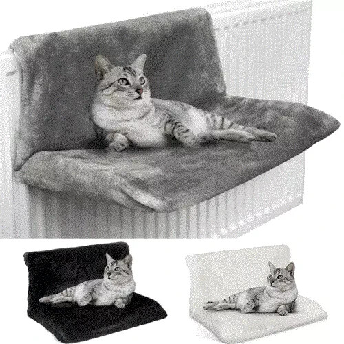 Cat kitten hanging radiator - cat,