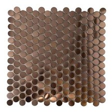 Brushed Stainless Steel Penny