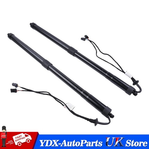 Left right electronic tailgate - left+right,