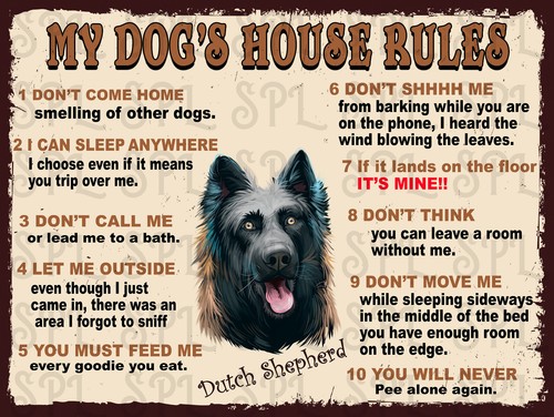 Dutch shepherd dog house - dutch, my