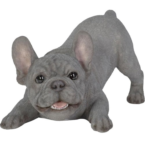 Vivid arts active puppy blue - arts,