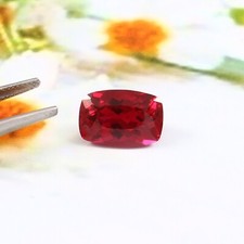 AAA+ Natural Mozambique Pigeon