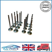 16PCS Engine Valve Set To Suit