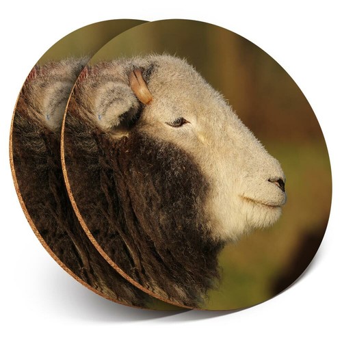 Coasters herdwick sheep - 2,