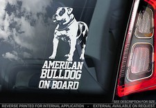 American bulldog car window - -,