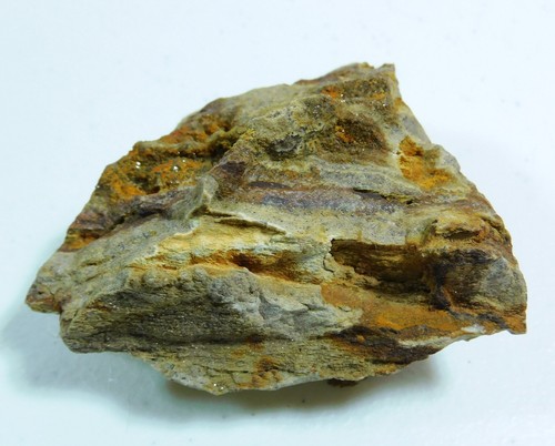 Petrified wood with brown - petrified,