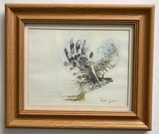 Original signed watercolour, gouache and graphite painting of a bird of prey.