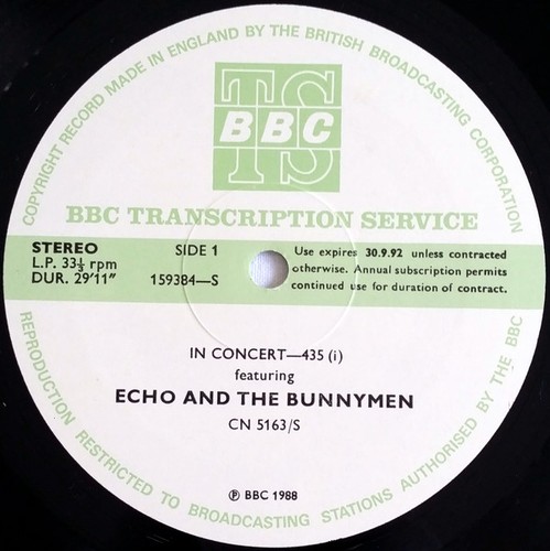 Echo the bunnymen in - the,