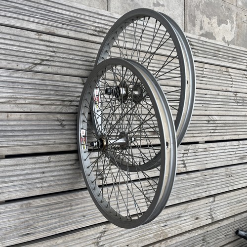 Alex 24f rims 48h - alex, al