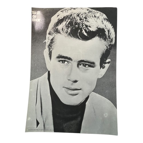 James dean poster portrait - james,
