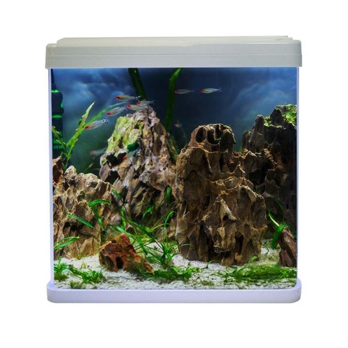 Swell small aquarium - small,
