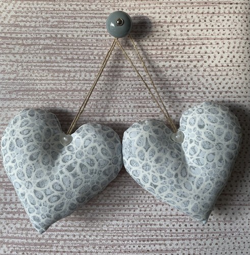 Pair hanging hearts in - of,