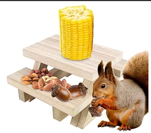 Squirrel bird mini - squirrel/,