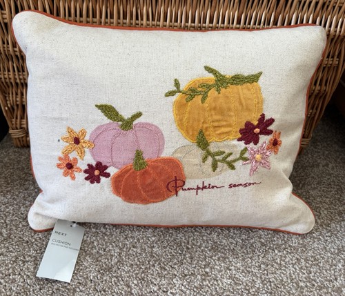Next new autumnal pumpkin - next,