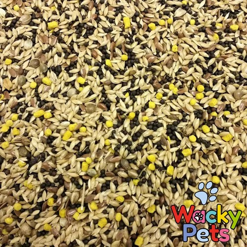 Mixed canary seed 500g - canary, /