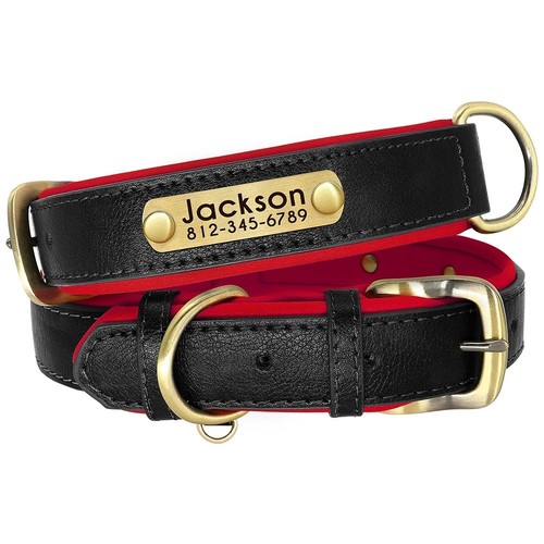 Customized leather dog - leather, collar