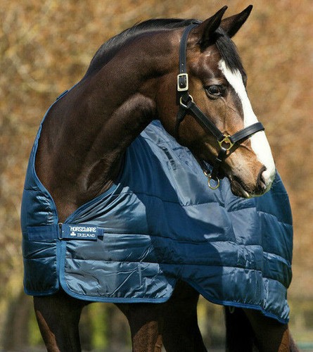 Horseware rug liner - rug, extra