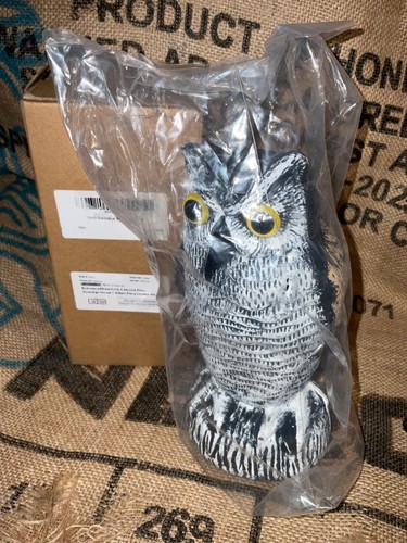 Decoy owl pest deterrent - pest,