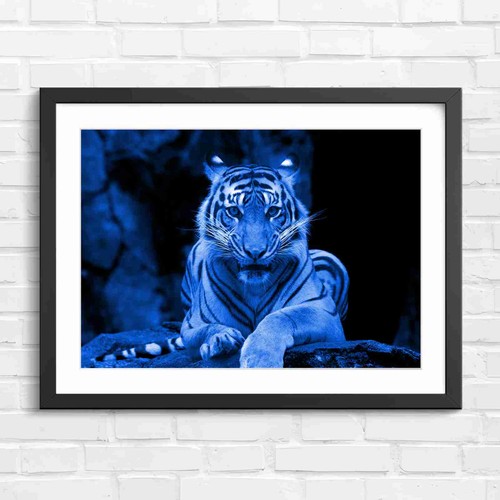 Intense tiger portrait - intense,