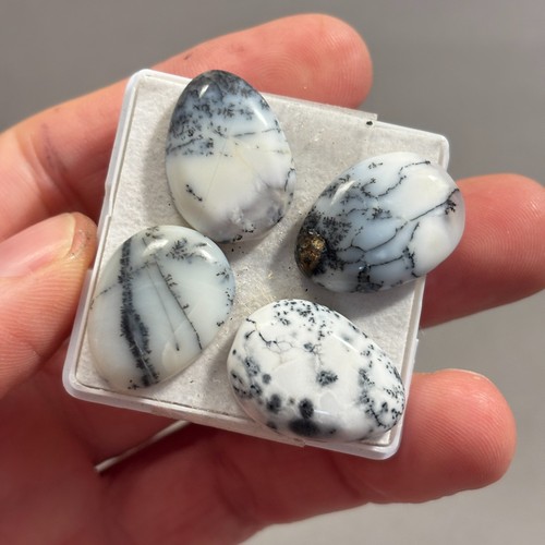 Carat dendrite opal - carat, x