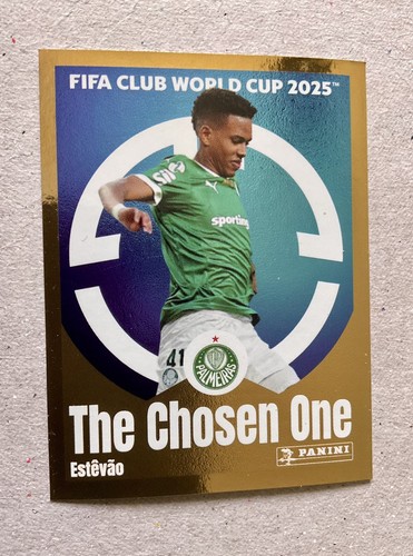Panini fifa club world - panini,