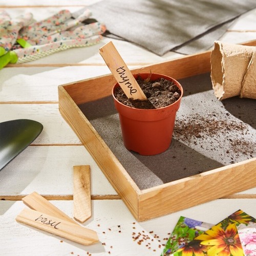Capillary matting seed - seed, tray