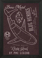 AVIATION Framed Wall Art