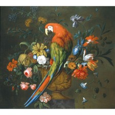 A Scarlet Macaw Perched on a